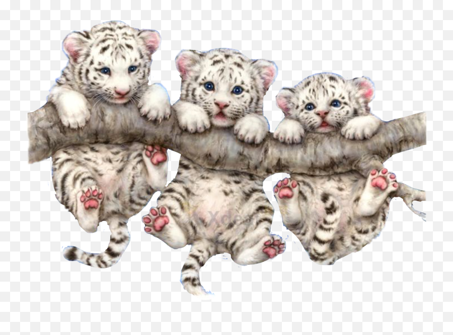 The Most Edited Sctiger Picsart - Tiger Cubs On Tree Emoji,Snow Emoticons Kawaii