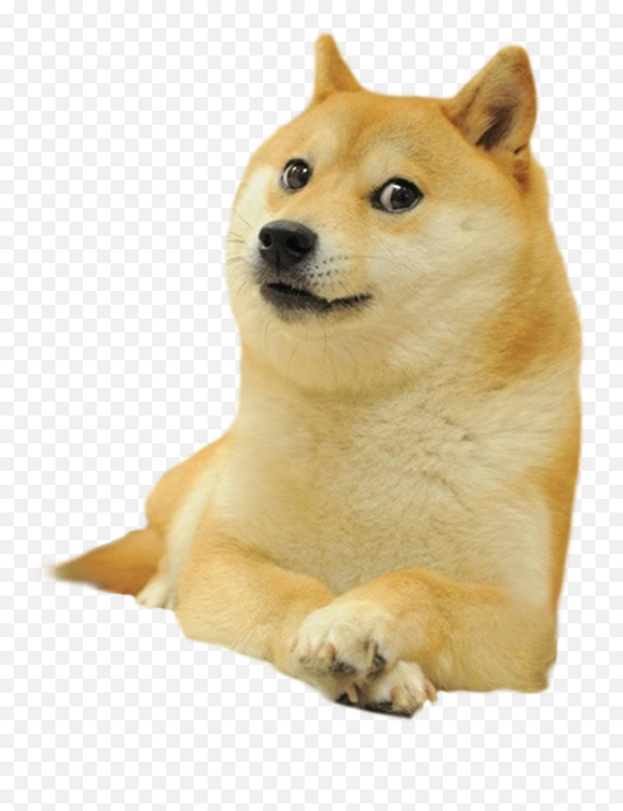 Armored Loot Box Warfare - Doge Original Emoji,Doge Emoji Copy And Paste