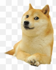 Armored Loot Box Warfare - Doge Original Emoji,Doge Emoji Copy And Paste