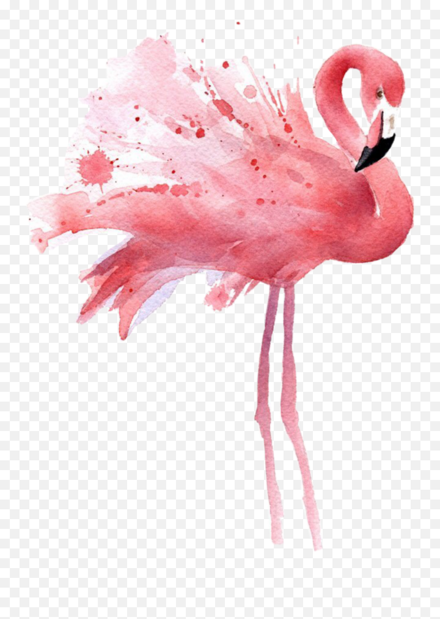 Mq Pink Flamingo Flamingos Bird Sticker - Watercolor Flamingo Emoji,Pink Flamingo Emoji