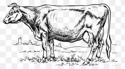 Black And White Cow Coloring Pages Cow 3 B001 Png Printable - Illustration Of A Cow Emoji,Cow And Man Emoji