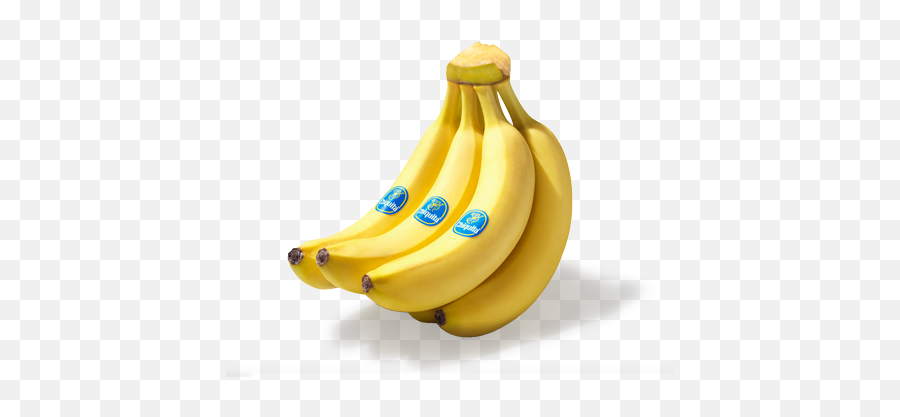 Benefits Of Bananas Chiquita Class Extra Chiquita - Banane Chiquita Emoji,Banana Emoticon