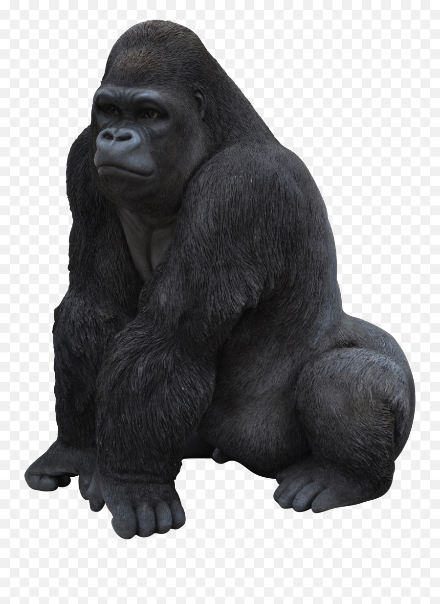Gorilla Sitting Png Transparent Images Free Download - Gorilla Statue Emoji,Where Is The Gorilla Emoji
