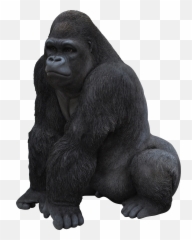 Gorilla Sitting Png Transparent Images Free Download - Gorilla Statue Emoji,Where Is The Gorilla Emoji