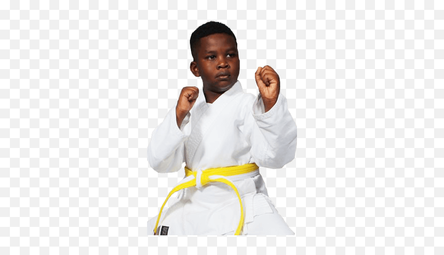 American Kenpo Karate Juniors In Dundalk Maryland Emoji,Martial Arts Uniforms Emoji