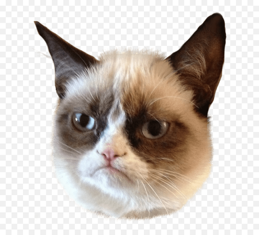 Cat Memes - Grumpy Cat Mona Lisa Emoji,Angry Cat Emoji