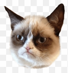 Emoji cat face angry 1199183 PNG