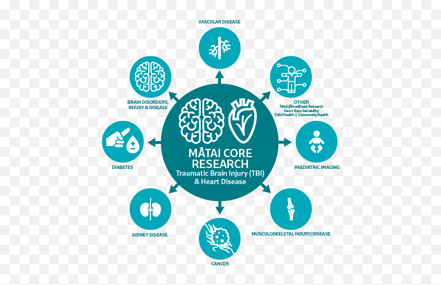 Other Research - Mtai Magallanes Emoji,Mri Scans Of Different Emotions