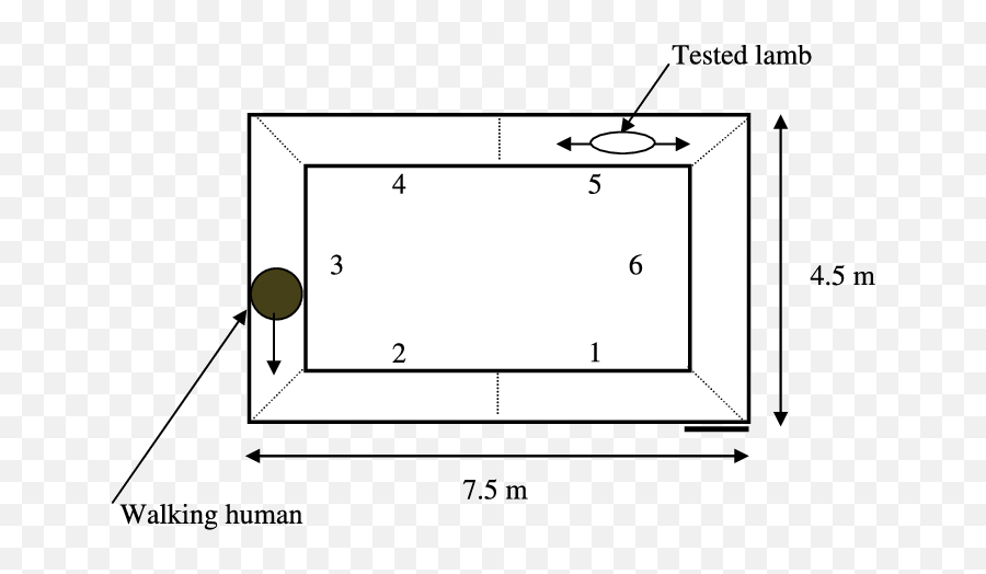 Experimental Setup Of The Corridor Test - Solid Emoji,Cher New Emotion