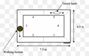 Experimental Setup Of The Corridor Test - Solid Emoji,Cher New Emotion