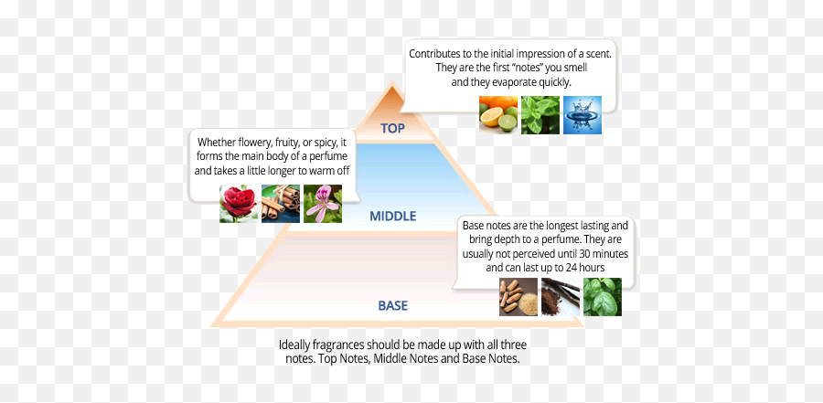 Me Fragrance - Perfume 101 Basics Of Making Your Own Custom Emoji,Emotion Men's Cologne