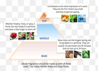 Me Fragrance - Perfume 101 Basics Of Making Your Own Custom Emoji,Emotion Men's Cologne