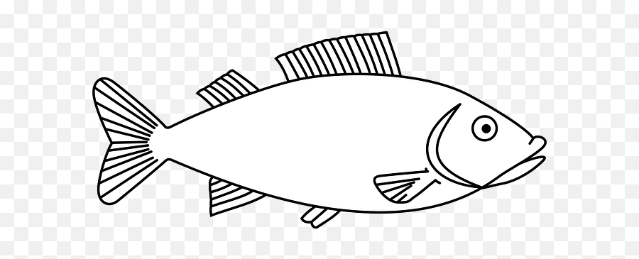 Download Easy Long Fish Drawings - Fish Outline Png Image Outline Of A Fish Emoji,Emoji Drawings Easy