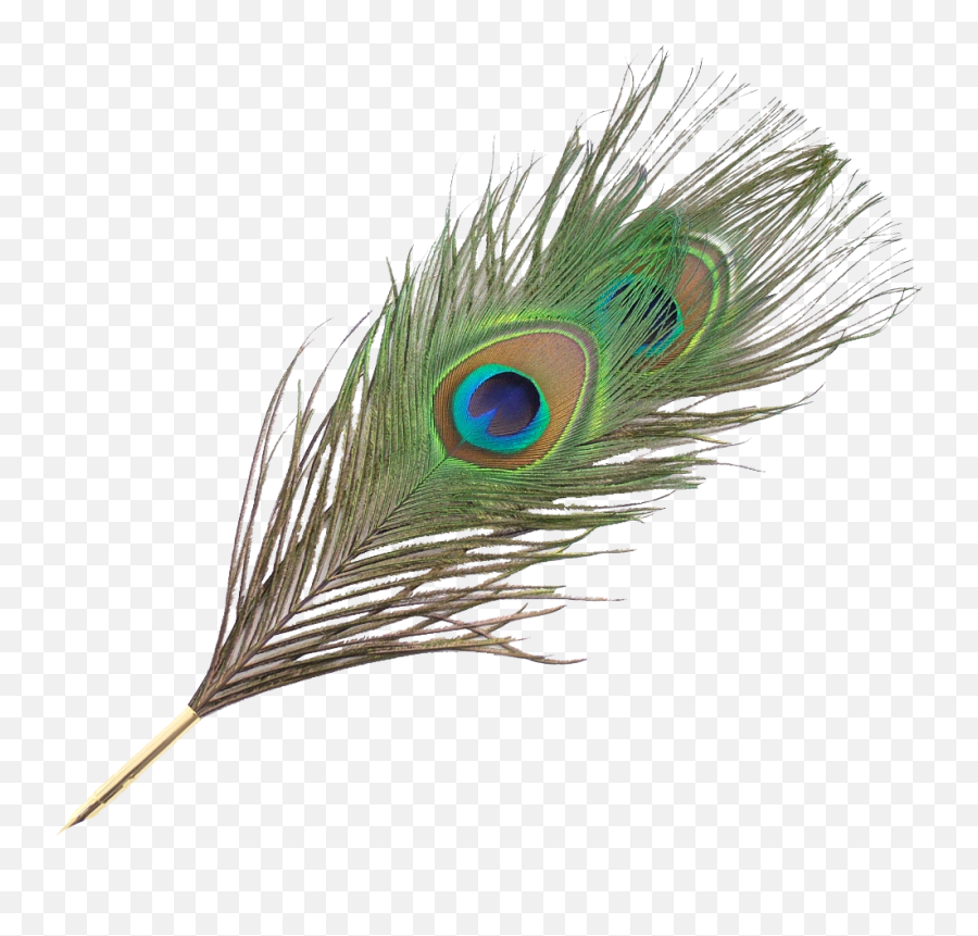 Transparent Background Png Clip Art - Hand Peacock Feather Pen Emoji,Feather Emoticon