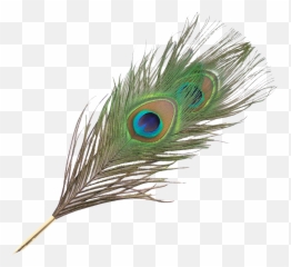 Transparent Background Png Clip Art - Hand Peacock Feather Pen Emoji,Feather Emoticon