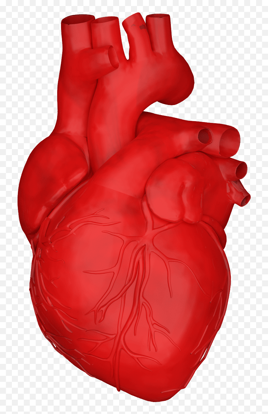 Heart Beat Animation Sticker By Alperdurmaz For Ios Animated - Heart Beating Gif Transparent Emoji,Heart Pulse Emoji