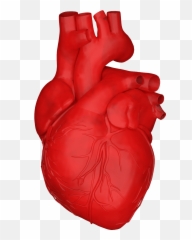 Heart Beat Animation Sticker By Alperdurmaz For Ios Animated - Heart Beating Gif Transparent Emoji,Heart Pulse Emoji