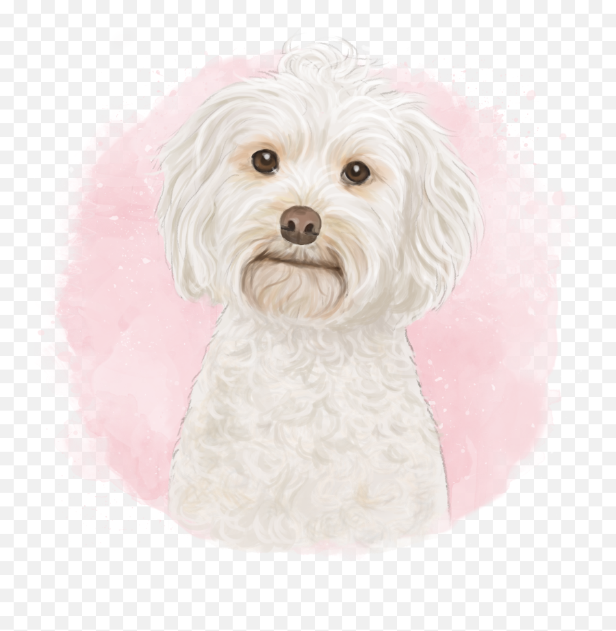 Piper The Cockapoo - Cavachon Emoji,Maltese Emoji