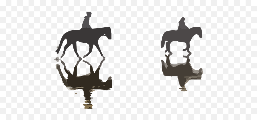 Free Stallion Horse Vectors - Reflections In Photography Emoji,Horse Rider Emoji