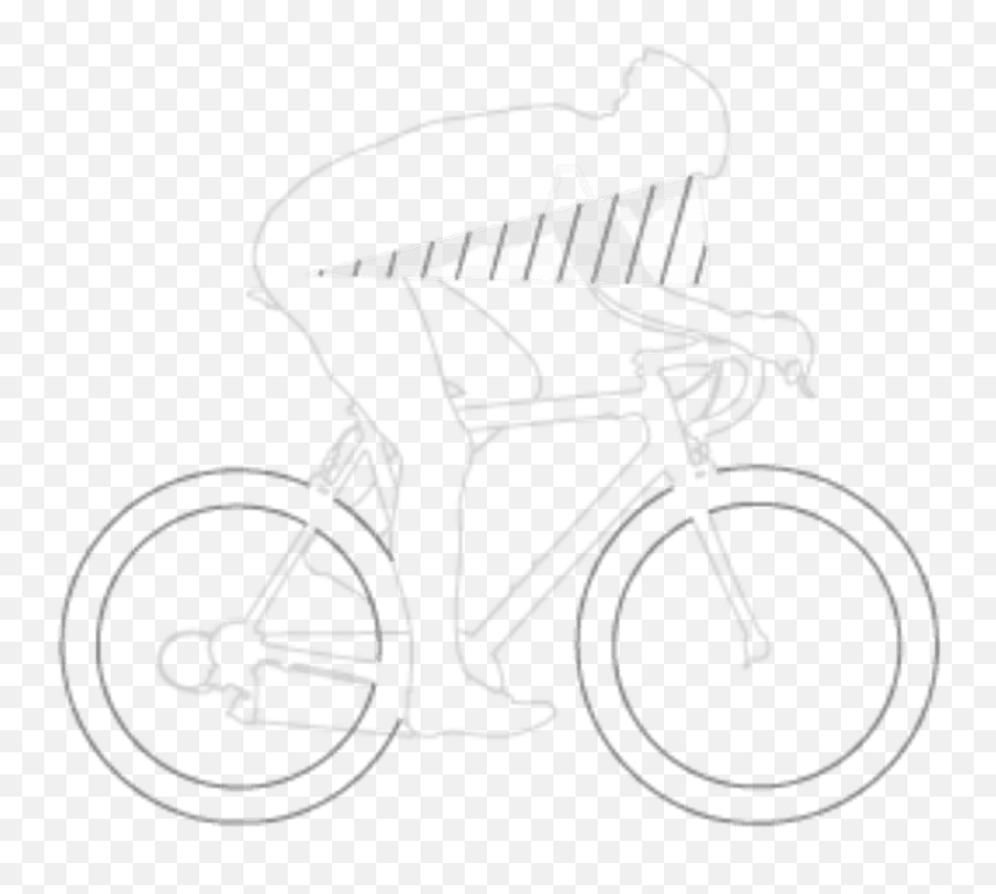 Schnell Leicht Und Mit Stil Rennrad Und Cyclo - Cross Road Bicycle Emoji,Emotion 650b