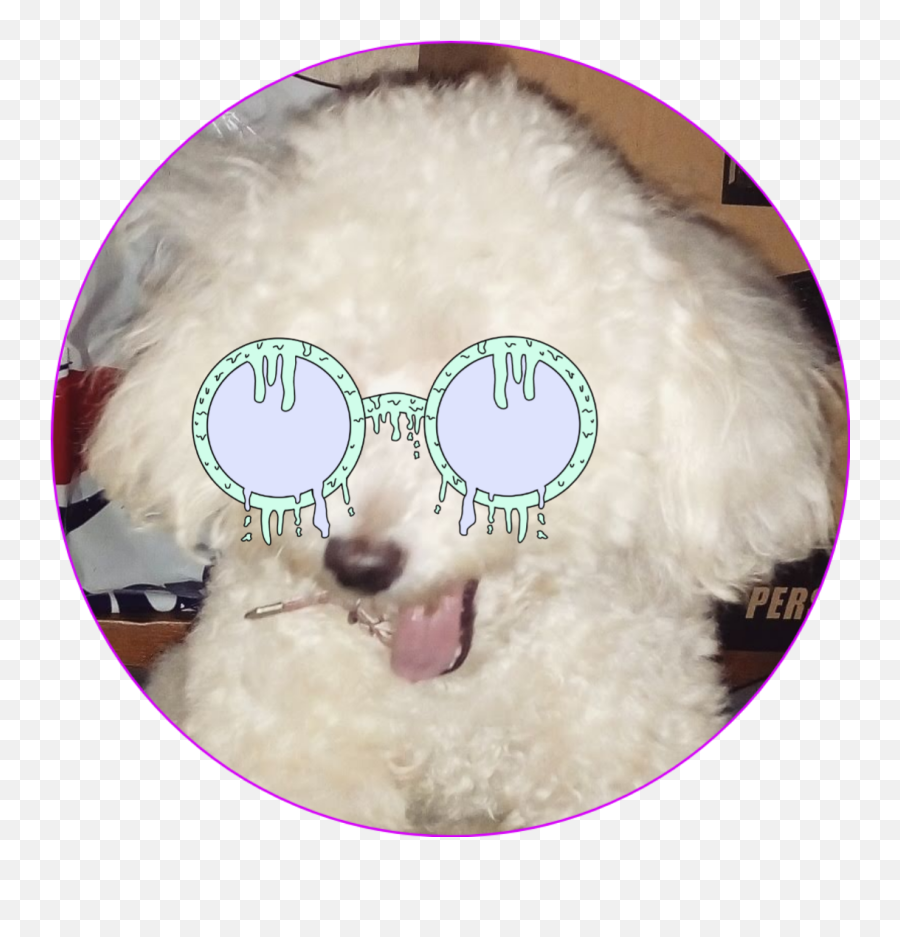 The Most Edited Khaleesi Picsart - Soft Emoji,Khal-eesi Smile Emoticon