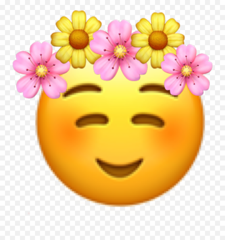 Emoji Emojicustom Customemoji Sticker - Happy,Flower Emoticon Face