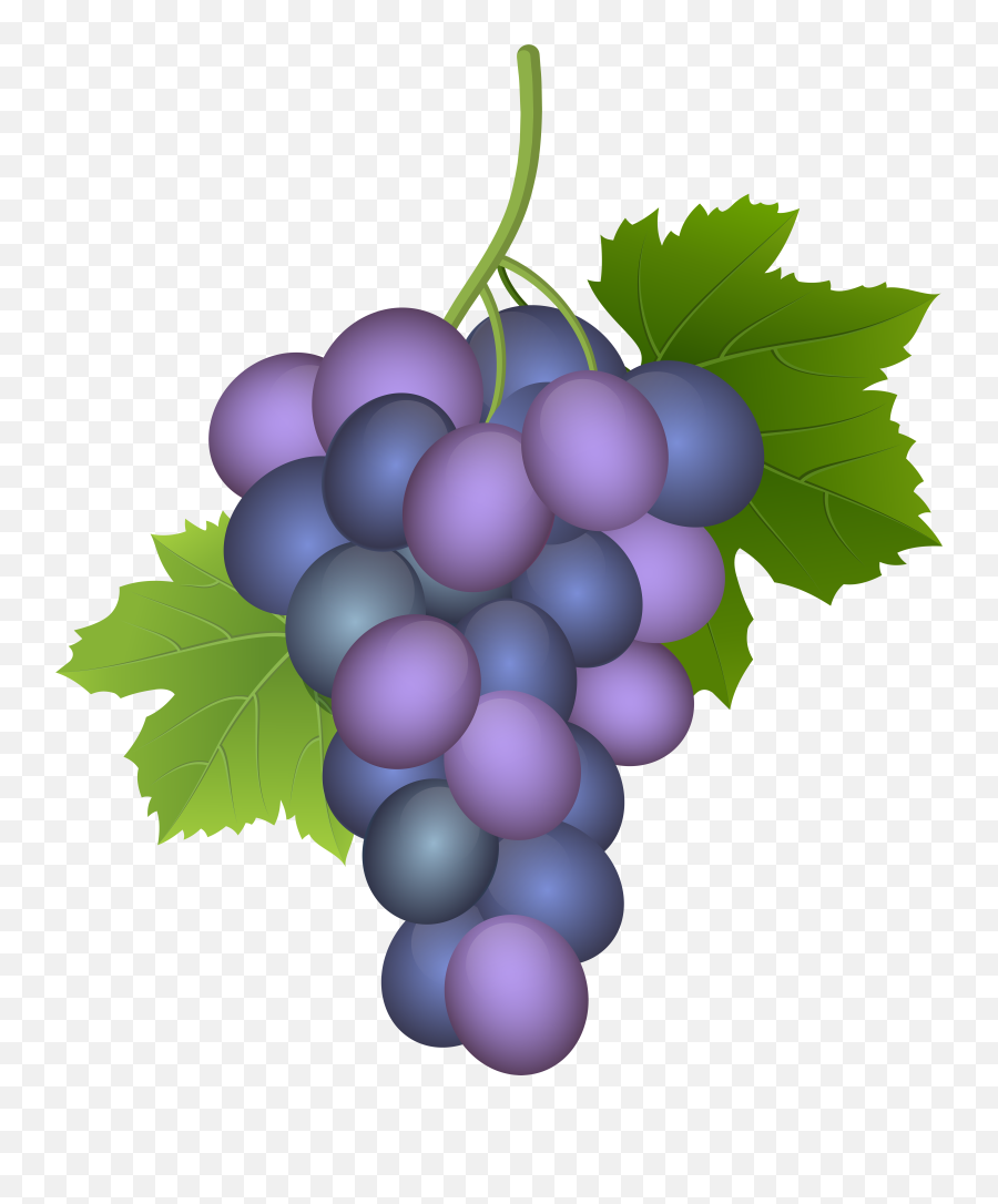 Free Purple Grapes Cliparts Download Free Clip Art Free Emoji,Grape Emoji