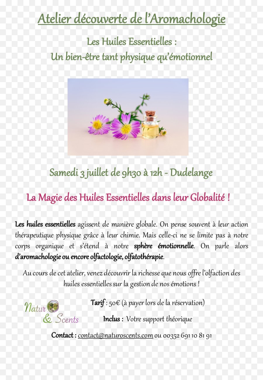Naturo U0026 Scents - Aromatherapy Discovery Workshop Dudelange Language Emoji,Doterra Emotions Quardrant Naturo U0026 Scents - Aromatherapy Discovery Workshop Dudelange Language Emoji,Doterra Emotions Quardrant