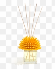 Ricciocaprese U2013 Fragranze - Designarredotavola Emoji,Anemone Emotions