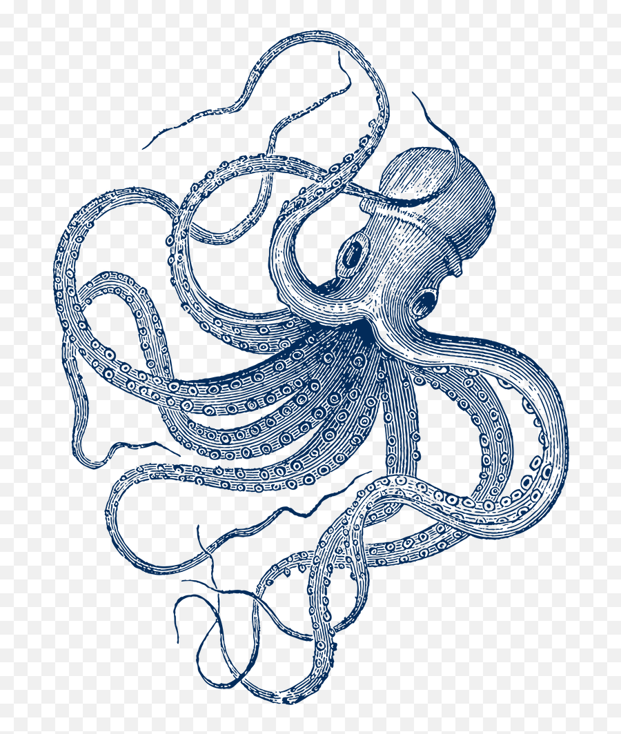 Blue Nautical Vintage Octopus Illustration Mini Art Print By - Blue Octopus Line Art Emoji,Octopus Changing Color To Match Emotion