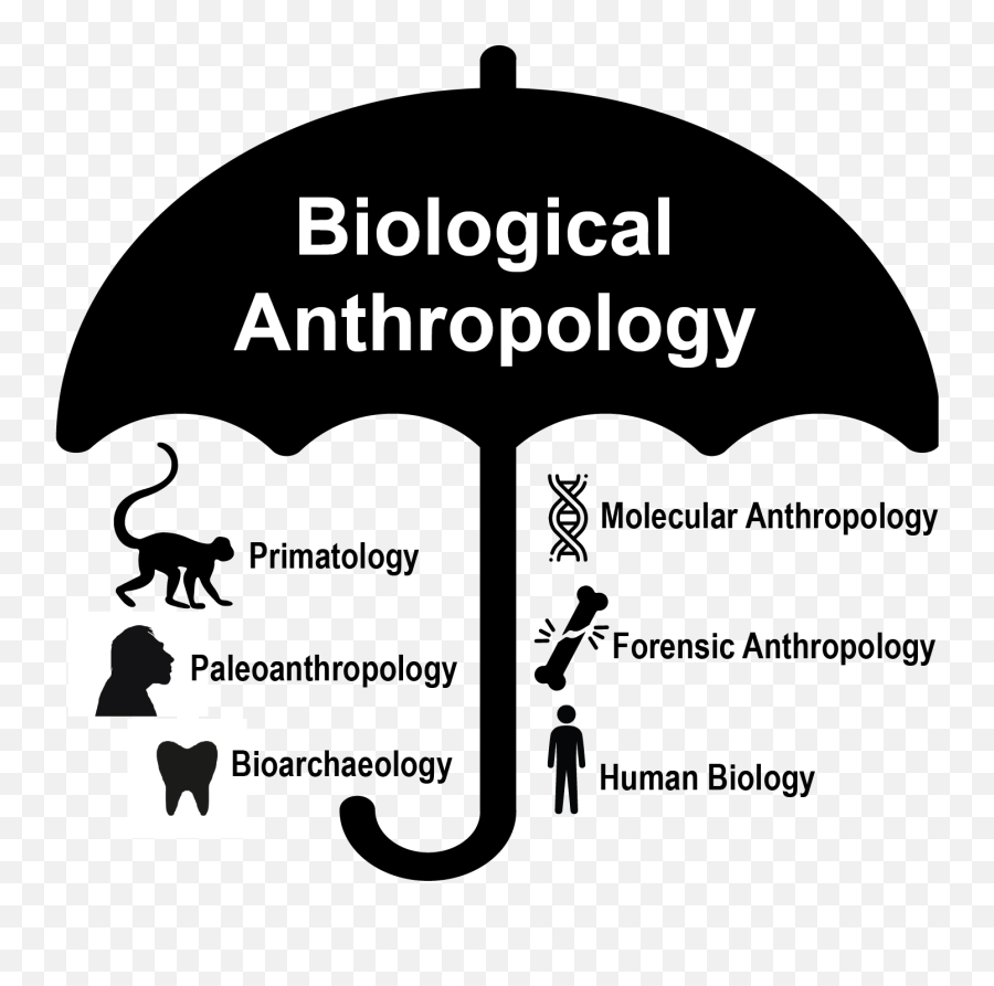 Introduction To Biological Anthropology - Biological Anthropology Definition Emoji,Emotion Leggett New Anthro