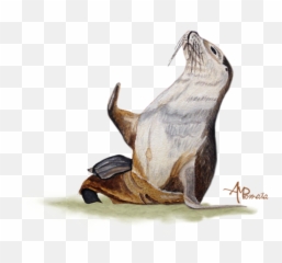 Sea Lion Watercolor Ii Kids T - Shirt Sea Lion Watercolor Emoji,Emoticon Sea Otter