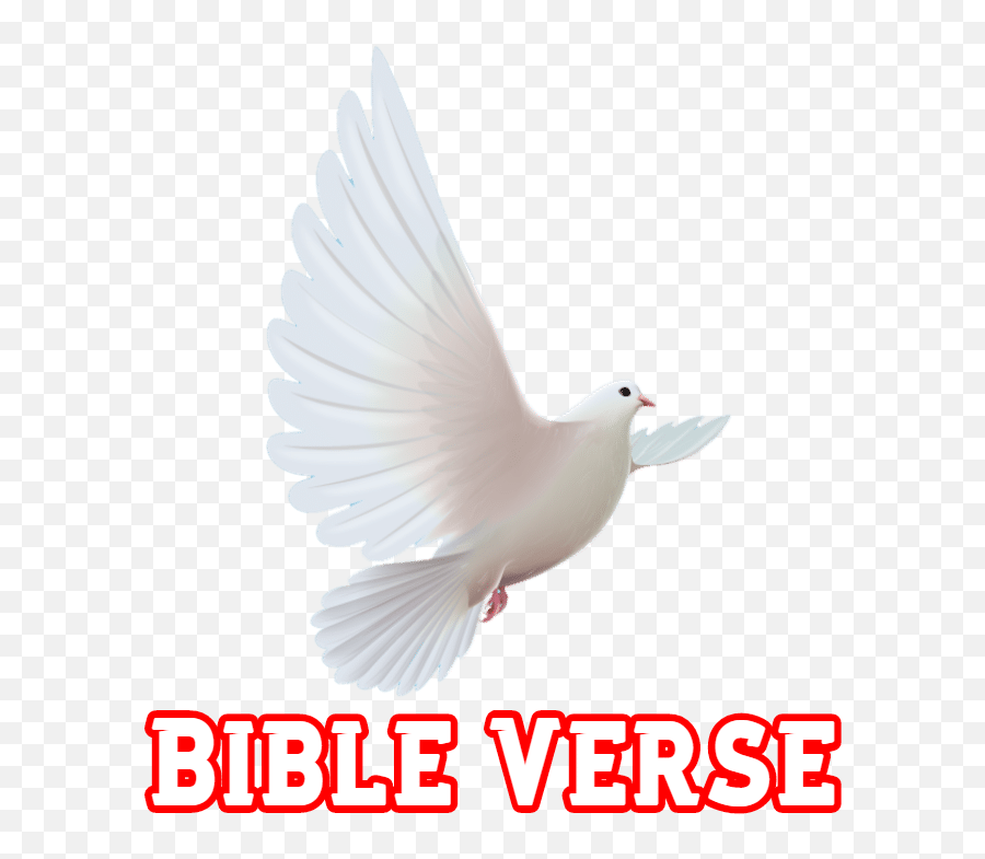 Most Popular Bible Verses Bible Verse - Language Emoji,Bible Verses With Lots Of Emotion