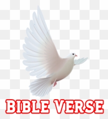 Most Popular Bible Verses Bible Verse - Language Emoji,Bible Verses With Lots Of Emotion
