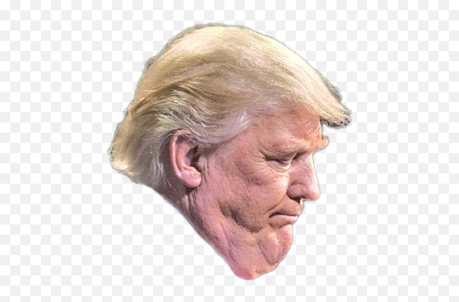 Donald Trump Trump Tower United States - Donald Trump Png Donald Trump Sin Photoshop Emoji,Funniest Donald Trump Emoji Faces