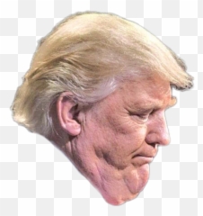 Donald Trump Trump Tower United States - Donald Trump Png Donald Trump Sin Photoshop Emoji,Funniest Donald Trump Emoji Faces