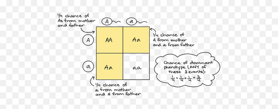 Quadrant Model Summary Mysite - 1 Does A Punnett Square Work Emoji,Four Emotion Quadrants
