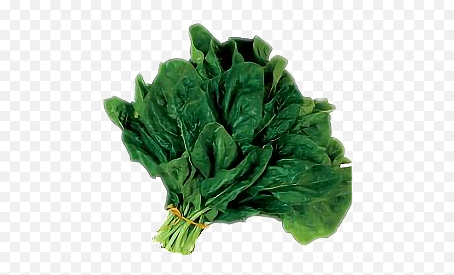 spinach-sticker-by-taliafera-tagalog-word-spinach-in-tagalog-emoji