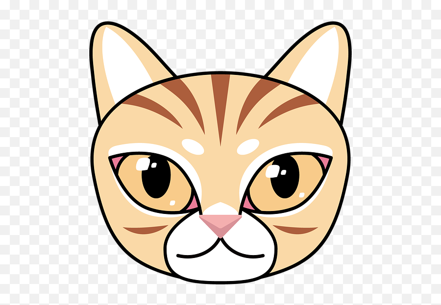 Cartoon Cat Kitty Animal Winner - Cute Tabby Cat Cute Cat Head Png Emoji,Cartoon Cats Different Emotions