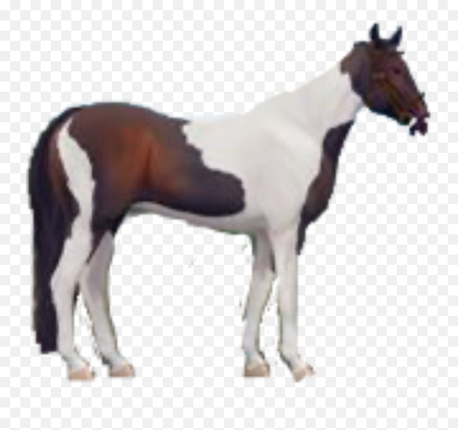 Discover Trending - Animal Figure Emoji,Horse And Muscle Emoji