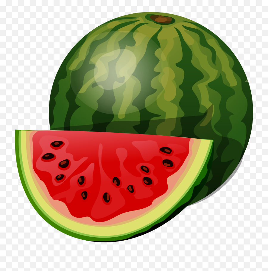 Fruiting Clipart Watermelon - Clipart Of Watermelon Png Clipart Of A Watermelon Emoji,Melon Emoji