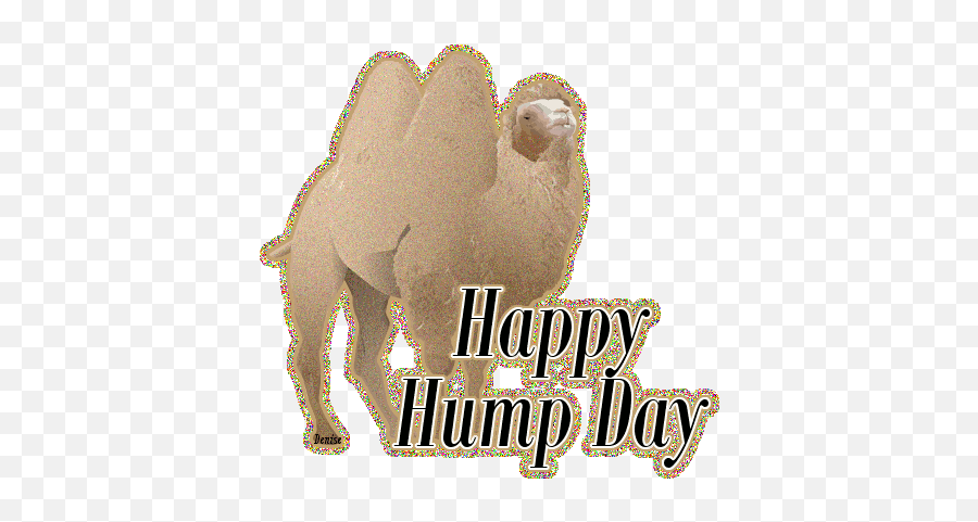 Happy Hump Day Graphic - Language Emoji,Hump Day Emoticon
