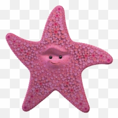 Sea Animals Baamboozle - Finding Nemo Starfish Emoji,Dory Finding Nemo Emoticon