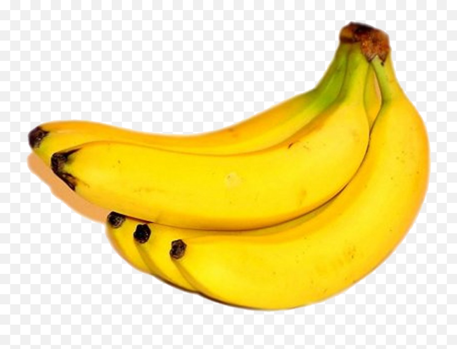 Banana Fruit Png - Banana Fruit Images Hd Emoji,:banana Plant: Emoji