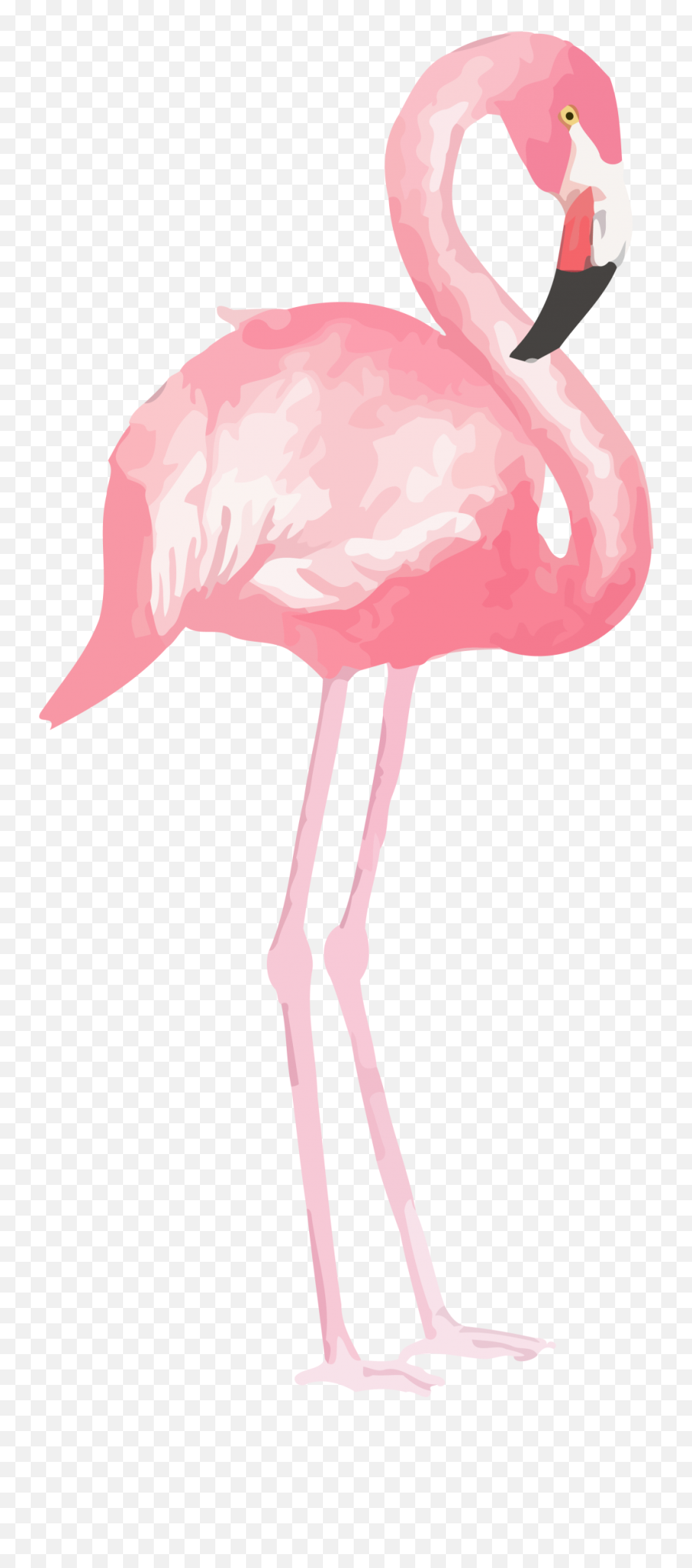 Flamingo Clipart Png - Flamingo Clipart Watercolor Flamingo Clipart Emoji,Pink Flamingo Emoji