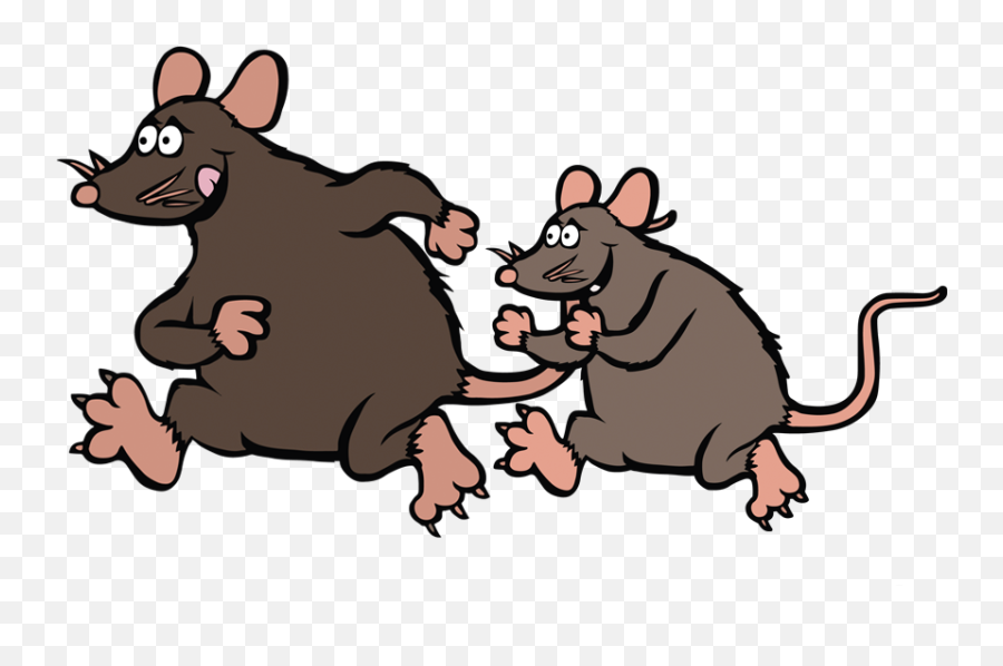 Rat Control Sydney Rat Exterminator U0026 Catcher Possum Piper Emoji,Remy The Rat What Emotion