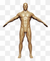 2d Model - Standing Emoji,Emotions Of The Xyphoid Process