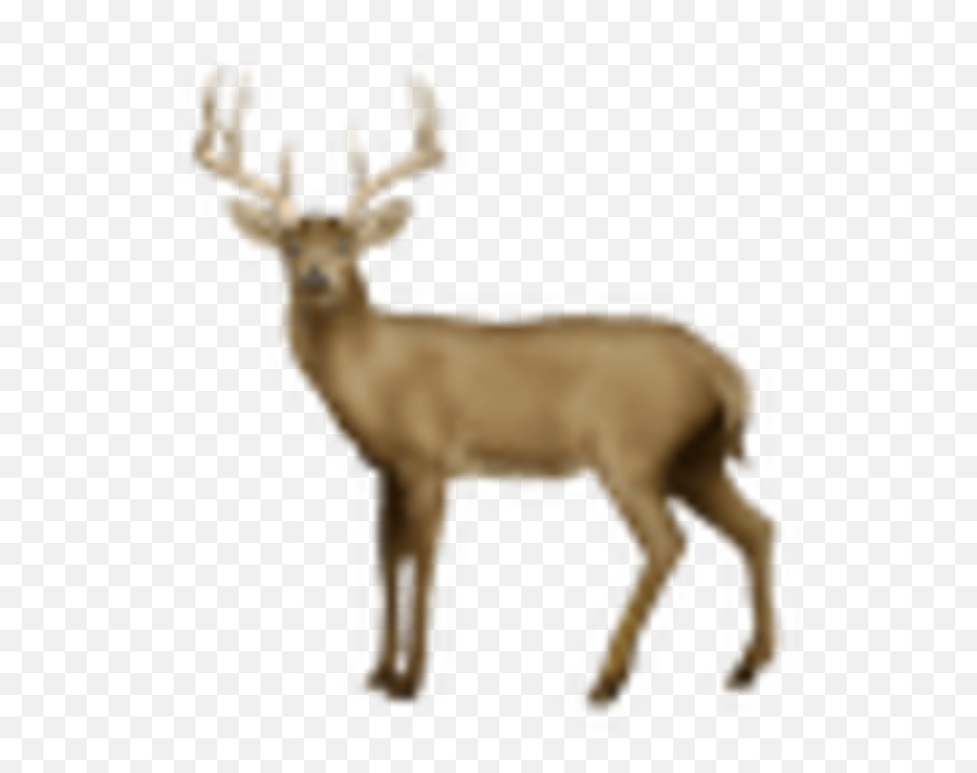 32 - Iphone Deer Emoji,Emoji Level 46