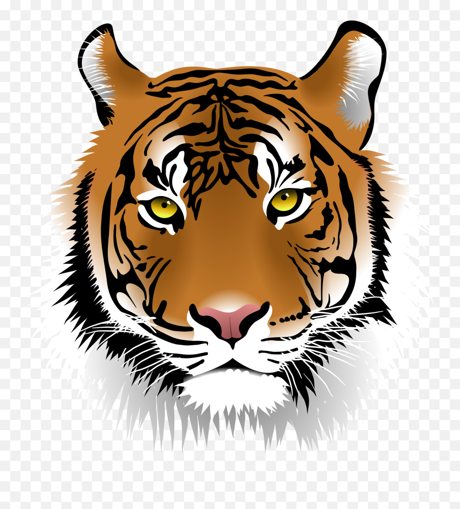 Baby Tiger Clipart - Clipartix Transparent Tiger Head Clipart Emoji,Tigger Emoji