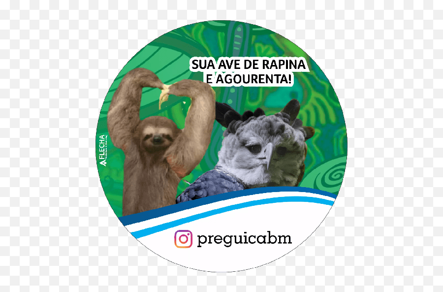 Preguiça Bm Emoji,Sloth Emoji